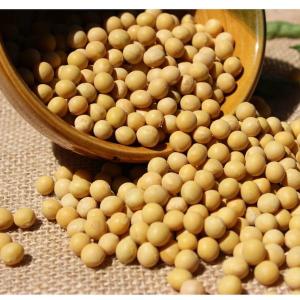 Soy Protein Isolate, 90% min. Kosher, Halal, Non-GMO certificated