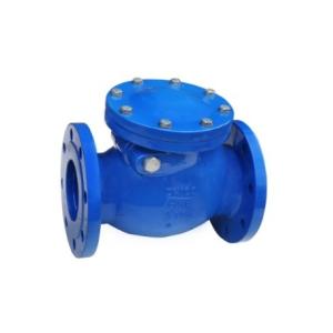 Manual Operation PN16 Flanged Ductile Iron Swing Check Valve for Customized Port