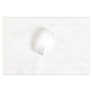 Pool Party Admission Tyvek Bracelets with Bar Coding and Numbering