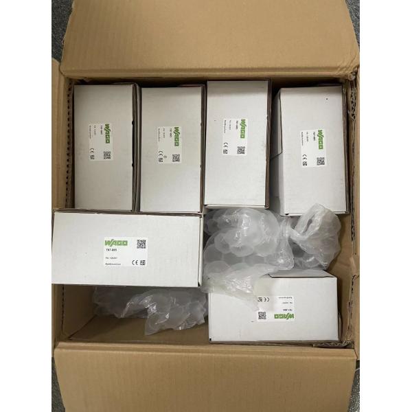 Original WAGO 787-734 787-885 Switched-mode Power Supply 24 VDC Output Voltage 20 A Output Current