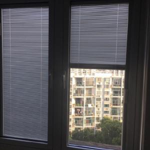 Double Glazed Built In Blinds Glass Panel with VERTICAL Opening Pattern and