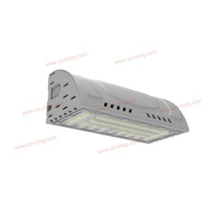 W300 50w 150lm/W IK10 LED Wall Light Asymmetric G6