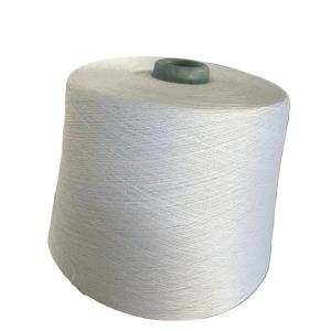 30/2,30/3 Raw White100% Polyester Spun Yarn For Sewing Thread