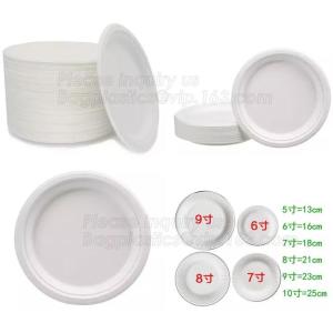 100% Biodegradable and compostable sugarcane pulp packaging disposable paper