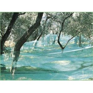 Hdpe Anti UV Olive Harvesting Nets , Agriculture Fruit Collecting Net