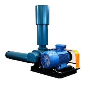 Efficiently Boost Your Production with Our Customized Roots Blower Vacuum Pump