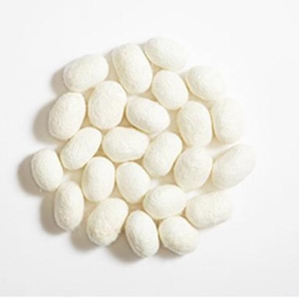 Hydrolyzed Silk Amino Acid Raw Material White Powder