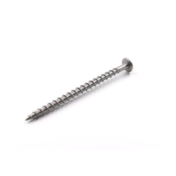 Buy Torx Head Self Tapping Screw Stainless Steel at wholesale prices