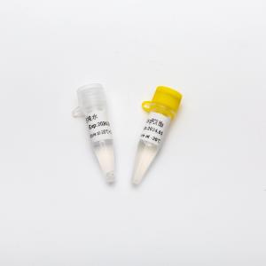 Multiplex Probe qPCR Mix for DNA real time PCR 5ml