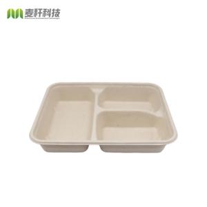 Disposable Biodegradable Sugarcane Bagasse Takeaway Lunch Food Tray with Lid