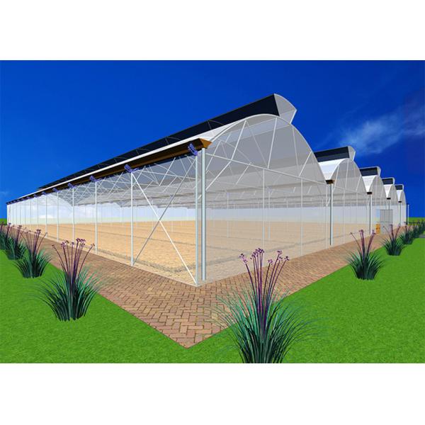 Transparent Reliable Clear Plastic Green House Poly Greenhouse Kits