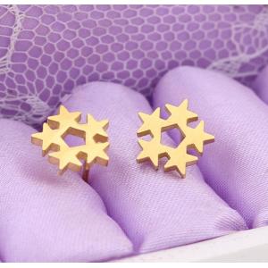 Customized Earring Surgical Stainless Steel Titanium Silver Gold Black Plated