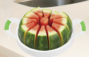 FBAB5034 for wholesales melon slicer stainless steel sclier plastic handle