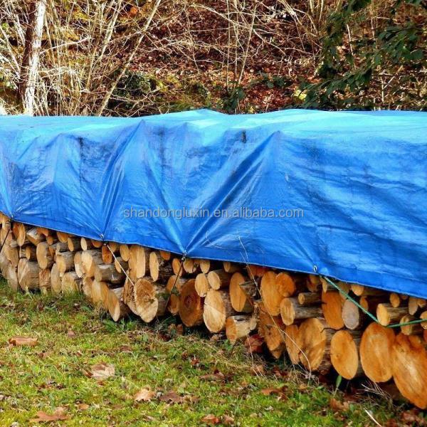 30% Deposit 70% Before Shipment PE Tarpaulin Waterproof Truck Cover Cargo Cover for USA