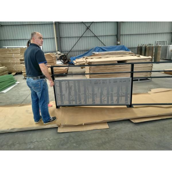 Beautiful Iron Gate and Metal Fence Wrought Iron Zinc Steel Material Fence Panels