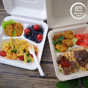 Eco Friendly Biodegradable Sugarcane Bagasse Clamshell Takeaway Food Containers