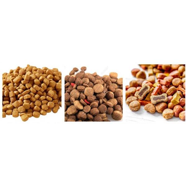 Single Phase 220V 500kg/H Dry Cat Dog Food Extruder Line