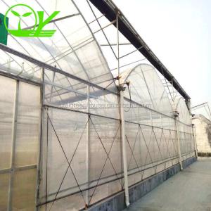 Industrial Greenhouse Hydroponic Vegetable Growing System with 11 liters Volume