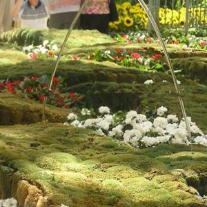 Laminar Garden Jumping Jet Fountain Musical Signal Control