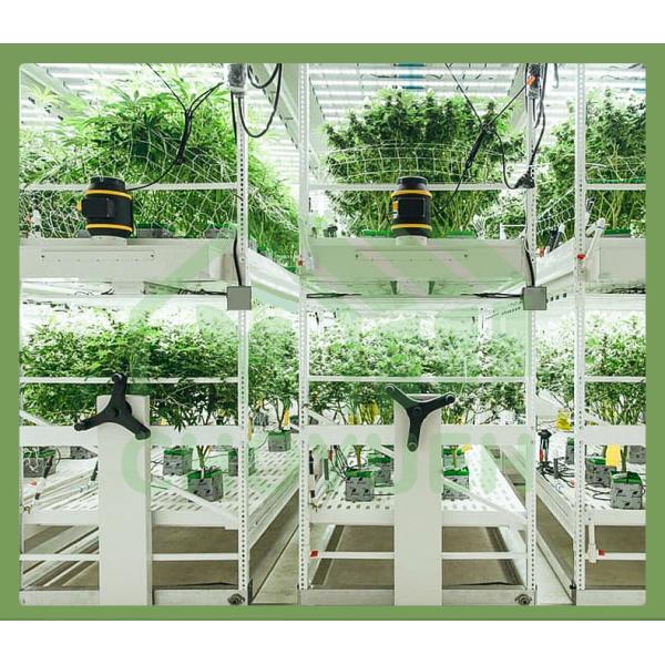 ABS Greenhouse Benches 4x8FT Rolling Benches For Growing