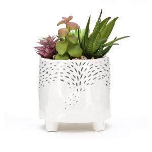 Animal Flower Pots Succulent Plant Pot Customized Plant Propagation Planter