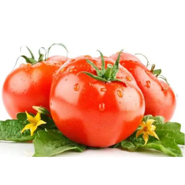 Amino Acid Chelate Calcium Powder Organic Fertilizer For All Crops