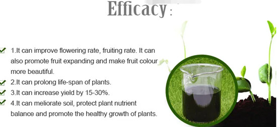 Agricultural Organic Fertilizer Organic Npk Liquid Fertilizer