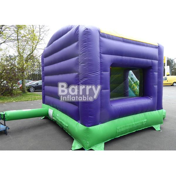 Commercial Jungle Theme Giant Inflatable Combo Tropical Bouncer With Slide