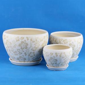 Transform Your Garden With Our Stylish And Durable Ceramic Pots Shop Now