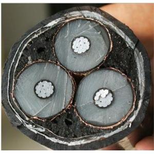 Medium Voltage Power Cable IEC60502 BS6622 VDE N2xsery Yjv32 30kv Copper XLPE