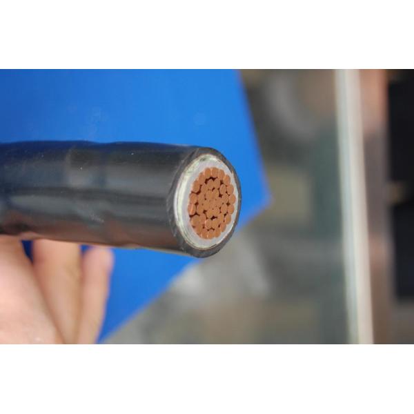 12/20kv Single core CU /AL conductor XLPE insulated d YJSV YJLSV power cable