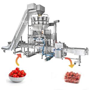 High-Speed Automatic Pouch Packaging Machine with 14 Head Multihead Weigher for