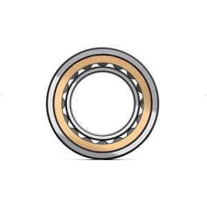 Single Row Cylindrical Roller Bearing NJ205 With Brass Cage