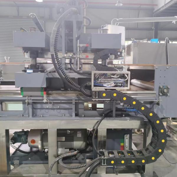 Accurate Tortilla Production Line with Automated Controls And High Capaciy