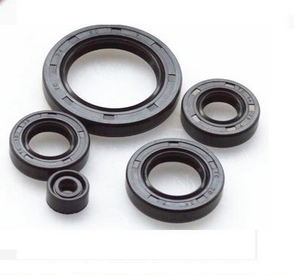 Buy China Manufacturer with low price Mechanical TC Radial Oil Seal at wholesale prices