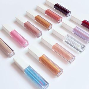 Shiny Shimmer Lip Gloss