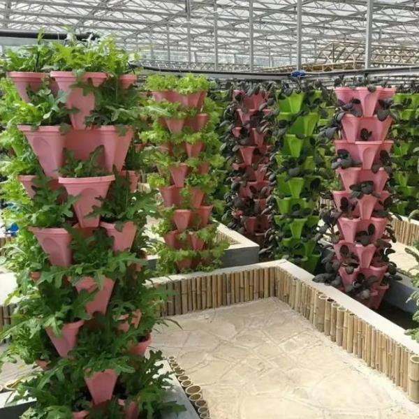 Large-Scale Farming Greenhouse Hydroponic System featuring Temporary Heating