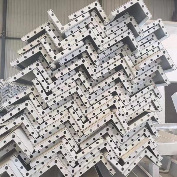 Whole House Custom Structural Container House for Hurricane Proof Rain and Snow