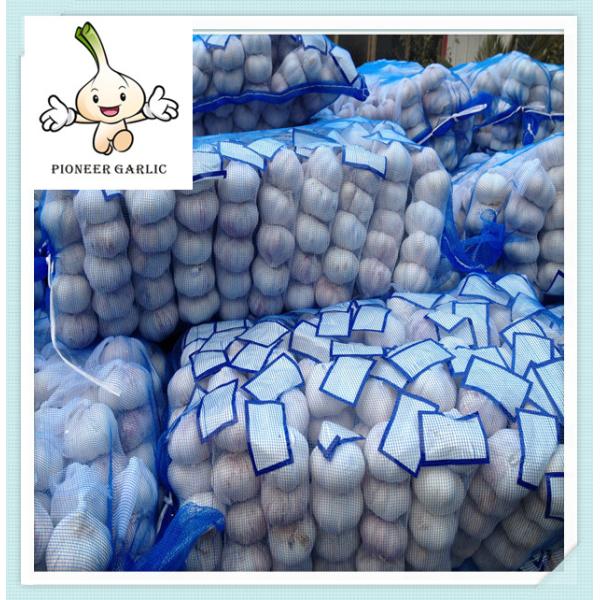 Best white garlic ,fresh garlic New Cold Storage Chinese Fresh Pure Garlic