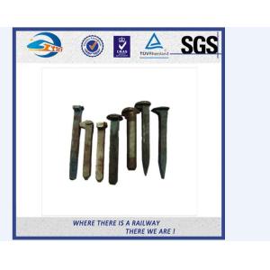 Galvanized Railroad Track Spikes , Q235 Screw Spikes Railroad