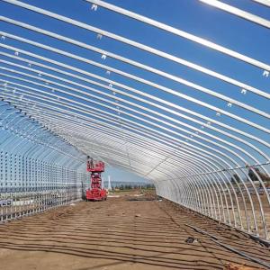China Solar Greenhouse Plastic Greenhouse For Grow Vegetables Galvanized Steel on sale