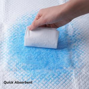 Extra Large Puppy and Adult Dog Disposable Training Pee Pads