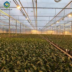 OEM Agriculture Green House Commercial Glass Greenhouse With Humidity Regulation