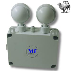 Double Head Waterproof IP65 Outdoor Indoor Long Duration Time Rechargeable Non