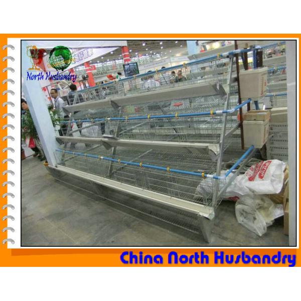 Buy Poultry Cage,Chicken Cage,Layer Cage_Anping County Innaer at wholesale prices