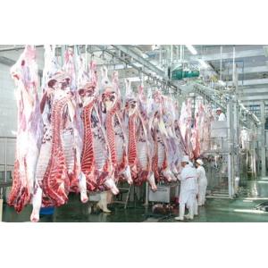 Beef Split Meat Production Line / Processing Line 100-300 Cattle Per Hour Speed