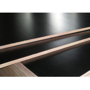 Maple Construction Formwork Concrete Shuttering Plywood