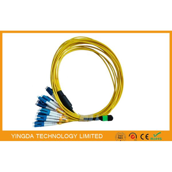 Buy 24Cores Multi  Fiber Bundle MTP MPO Cable MPO LC Fan Out Patch Cord 2mm at wholesale prices