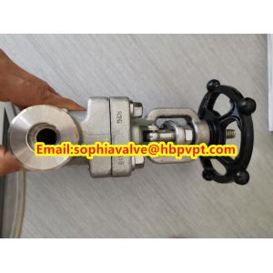 ANSI forged stainless steel globe valve