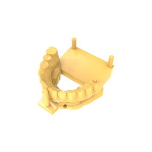 Non-toxic Repair Model Resin Biocompatibility And Safety For High Adaptability